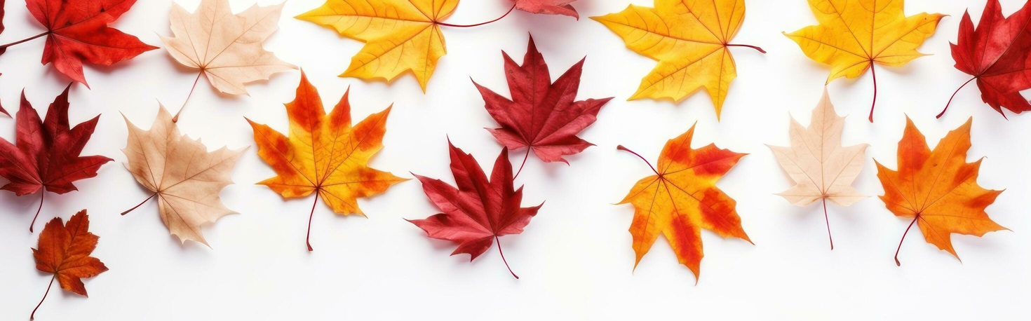 autunno_2.jpg